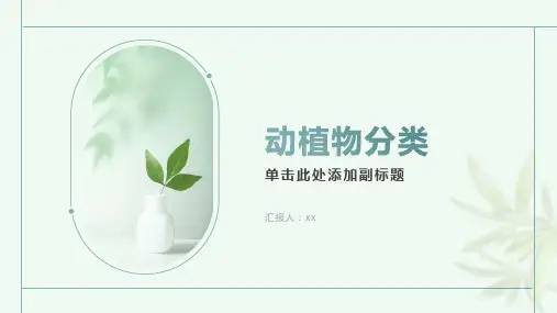 动植物的分类