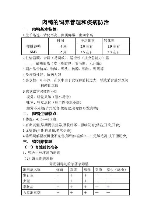肉鸭的饲养管理和疾病防治