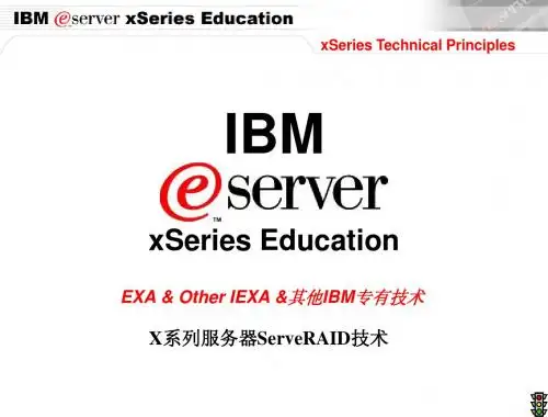 ibm X系列服务器ServeRAID技术