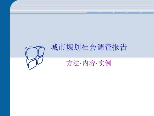 城市规划调研方法