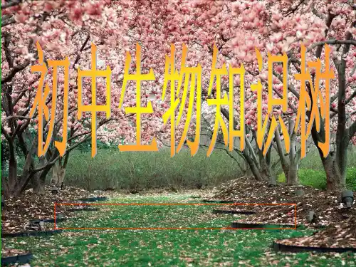 初中生物知识树