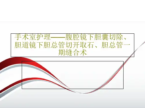 手术室护理——腹腔镜下胆囊切除、胆道镜下胆总管切开取石、胆总管一期缝合术PPT文档27页
