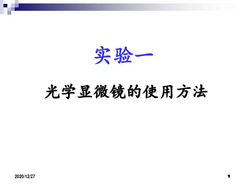 显微镜的使用方法 ppt课件