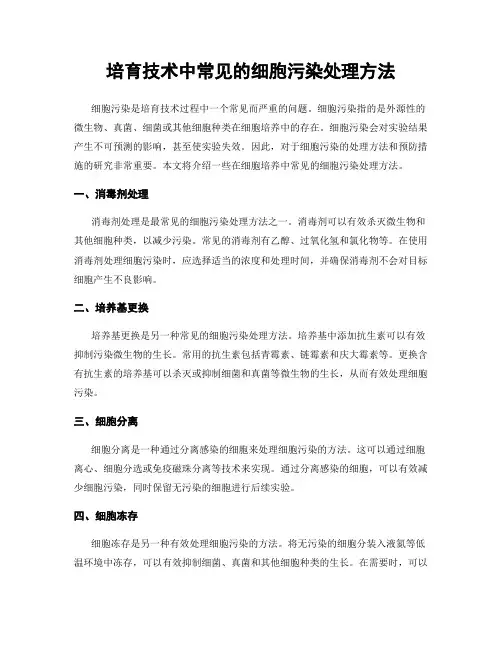 培育技术中常见的细胞污染处理方法