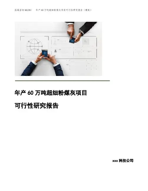 年产60万吨超细粉煤灰项目可行性研究报告(模板)