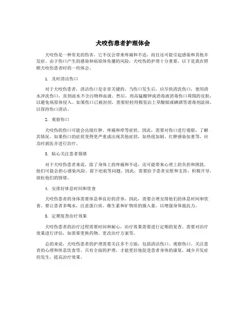 犬咬伤患者护理体会