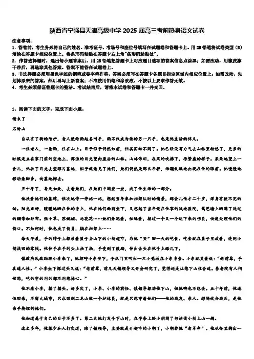 陕西省宁强县天津高级中学2025届高三考前热身语文试卷含解析