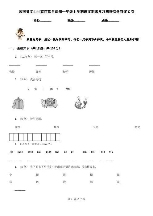 云南省文山壮族苗族自治州一年级上学期语文期末复习测评卷含答案C卷