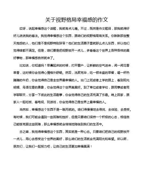 关于视野格局幸福感的作文
