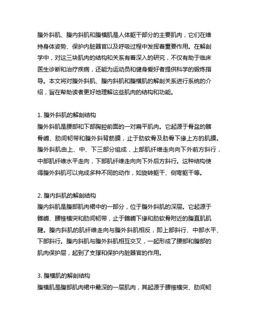 腹外斜肌腹内斜肌腹横肌的解剖关系