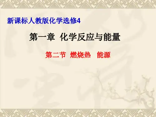 人教版化学选修四第一章第二节《燃烧热 能源》ppt课件