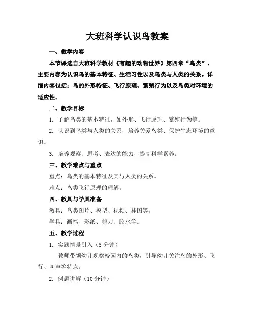 大班科学认识鸟教案