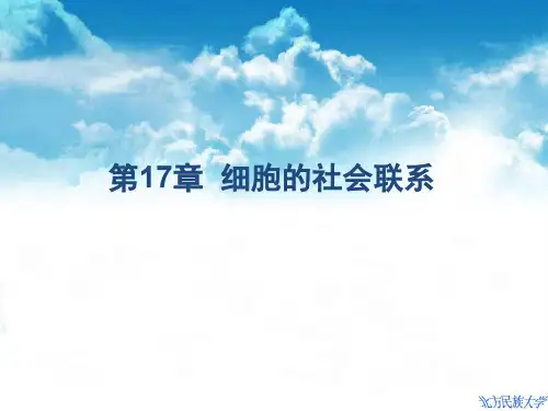 第17章  细胞的社会联系【学习资料】