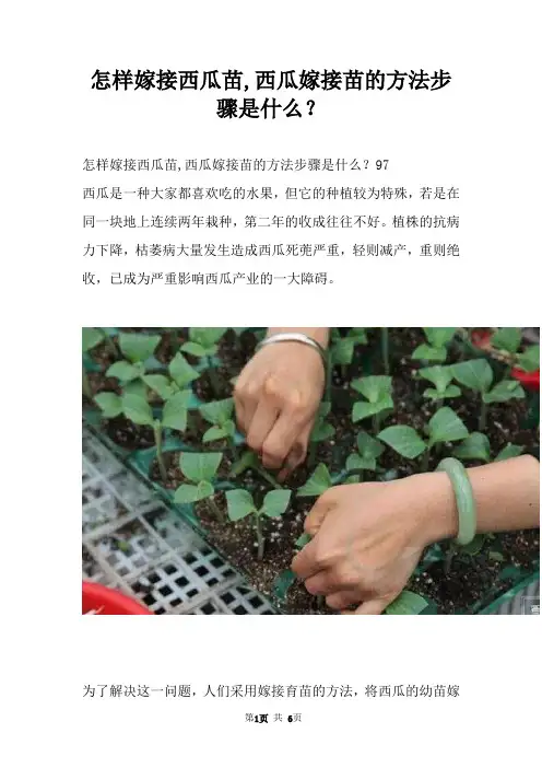 怎样嫁接西瓜苗,西瓜嫁接苗的方法步骤是什么？
