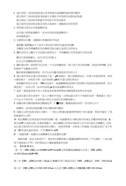 生化复习要点.doc