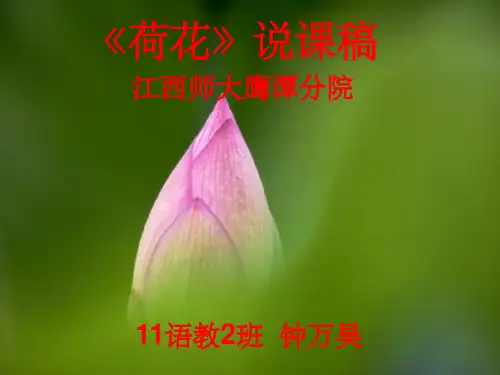 说《荷花》说课稿的PPT