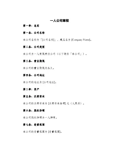2024年一人公司章程