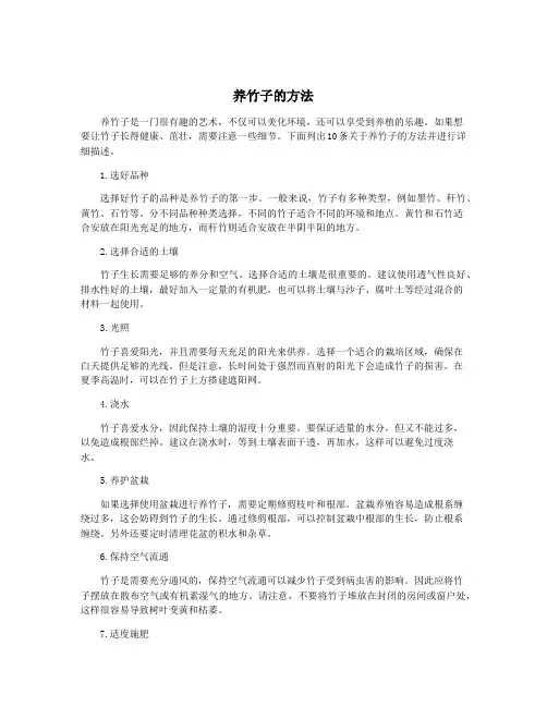 养竹子的方法