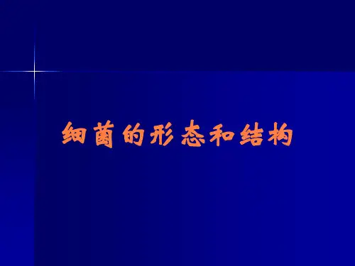 细菌的形态和结构
