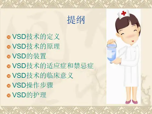 VSD技术PPT课件