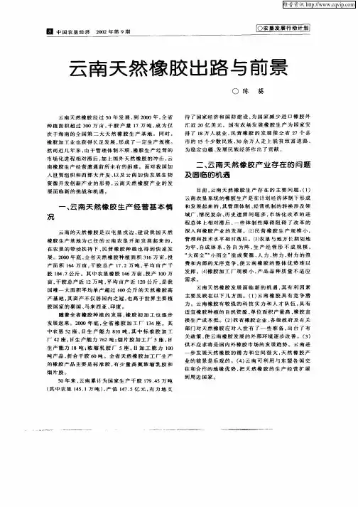 云南天然橡胶出路与前景