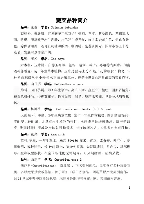 蔬菜品种简介