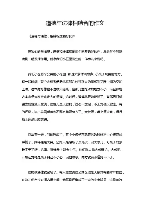 道德与法律相结合的作文