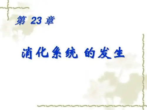 消化系统的发生