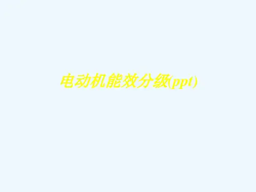 电动机能效分级(ppt)