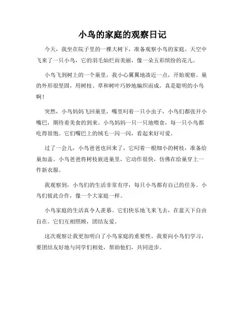 小学三年级作文小鸟的家庭的观察日记