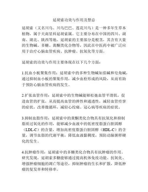 延胡索功效与作用及禁忌