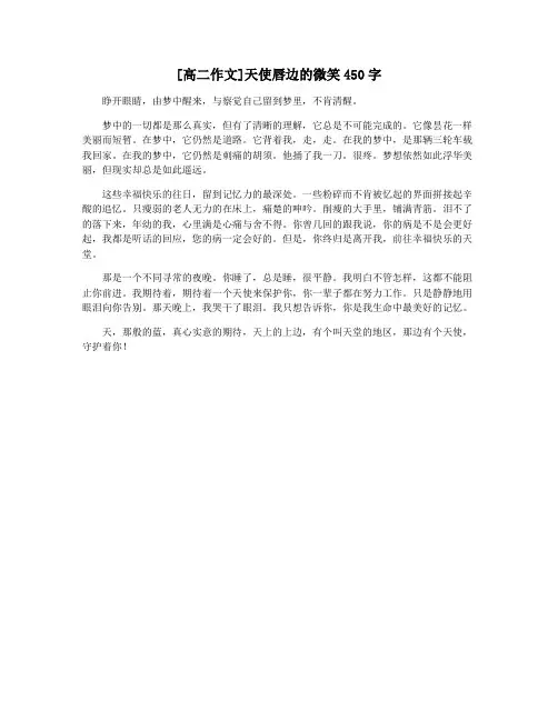 [高二作文]天使唇边的微笑450字