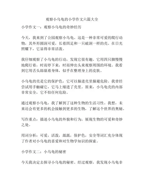 观察小乌龟的小学作文六篇大全