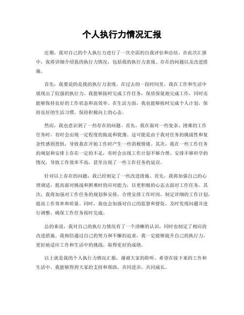 个人执行力情况汇报
