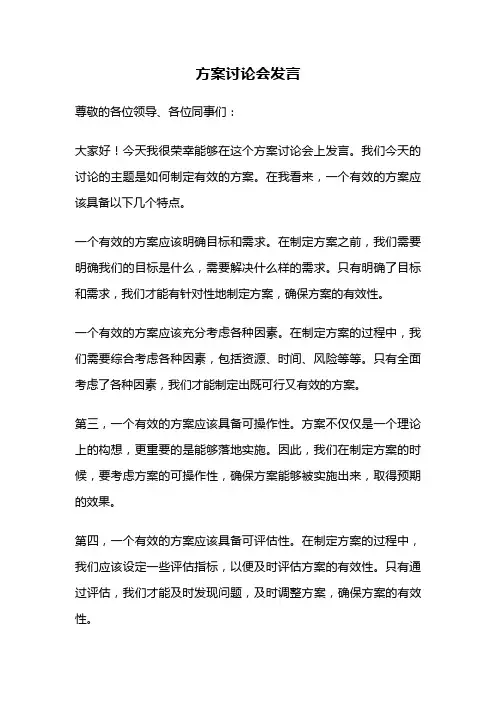 方案讨论会发言
