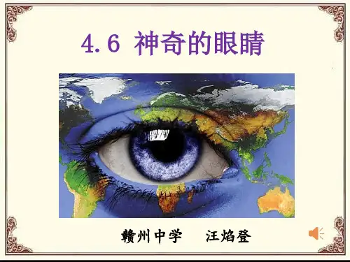 教科版八年级上册物理：6 神奇的眼睛