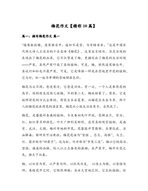 梅花作文【精彩10篇】