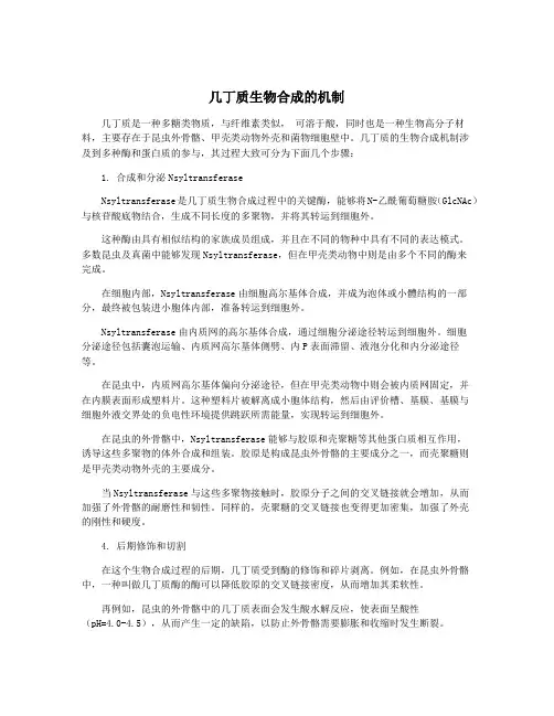 几丁质生物合成的机制