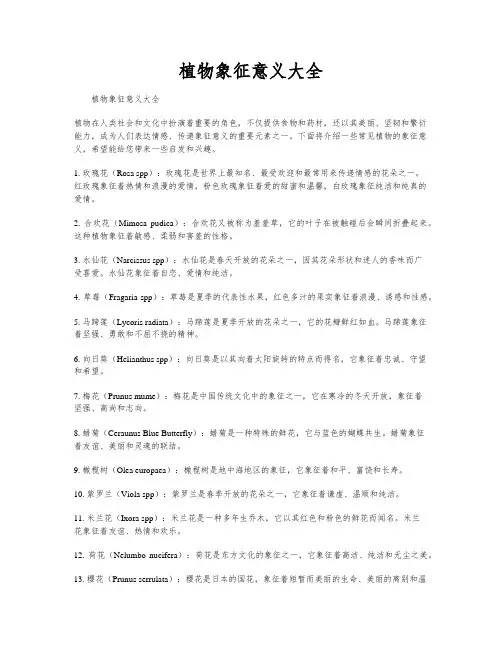 植物象征意义大全