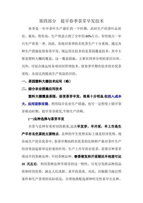 四、提早春季茶芽早发技术