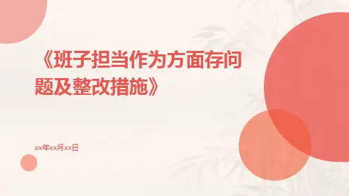 班子担当作为方面存问题及整改措施