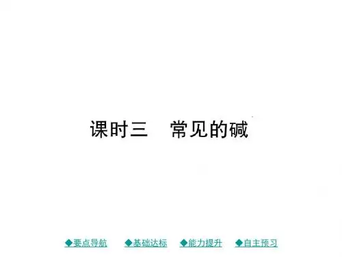 人教版九年级化学下教学课件：第10单元 课题1 课时3 