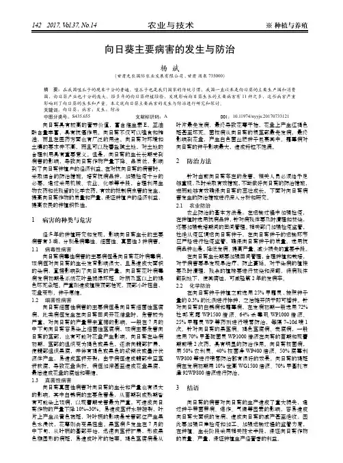向日葵主要病害的发生与防治