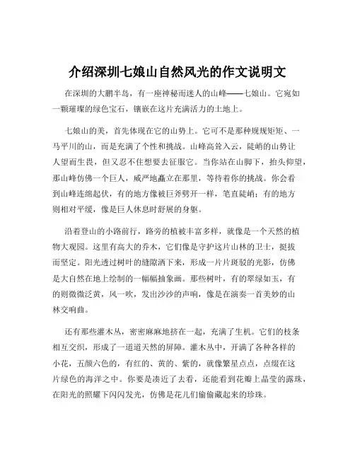 介绍深圳七娘山自然风光的作文说明文