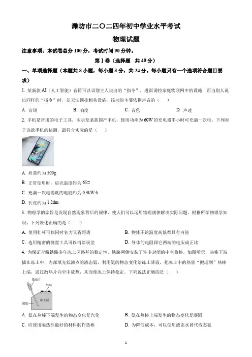 2024年山东省潍坊市中考物理试题(含答案解析)