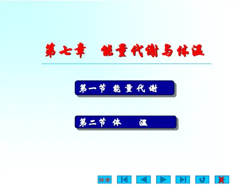 生理学-能量代谢
