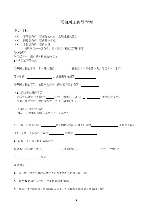 蛋白质工程导学案