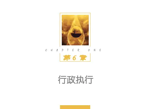 第六章行政执行