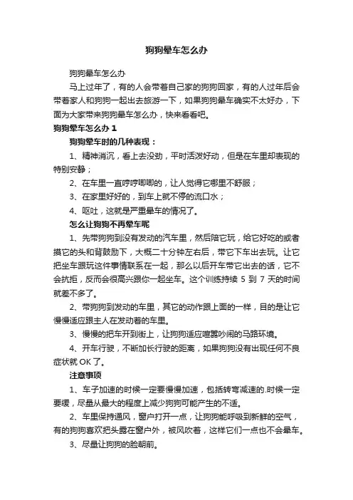 狗狗晕车怎么办