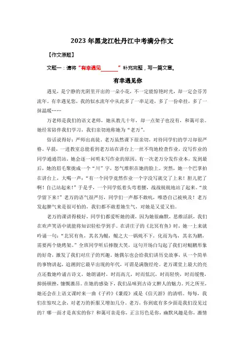 2023年黑龙江牡丹江中考满分作文《有幸遇见你》